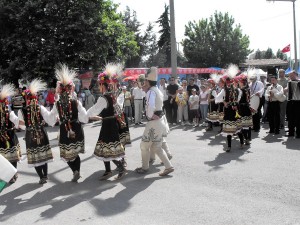 DSCF2175